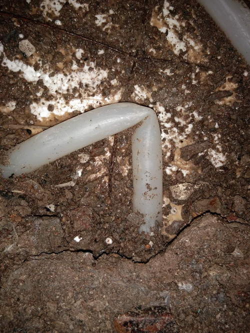 平阴堵点精准查找